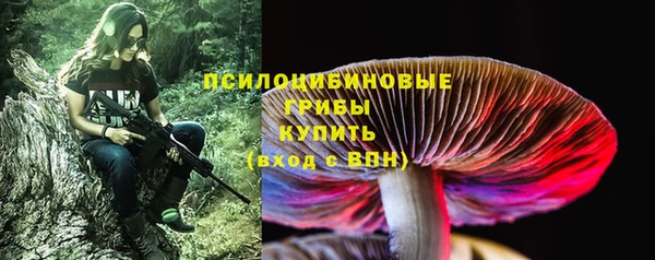 герыч Корсаков