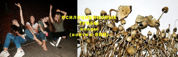 тгк Коряжма